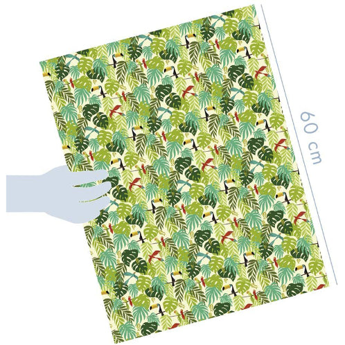 AVENUE MANDARINE Wrapping Paper Books 43x60cm 12s Boy Default Title