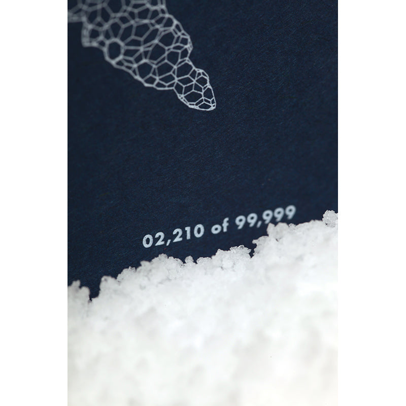 FIELD NOTES QE Snowy Evening 3-Pack Default Title