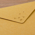MIDORI Letter Set 509 Foil-Stamped Envelopes Blowb