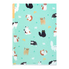 MIDORI 3-Pockets Clear Folder A4 Cats A