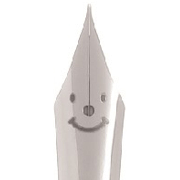 PILOT Kakuno LE Fountain Pen-Medium Boy Green