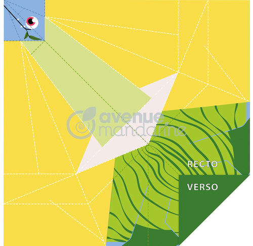 AVENUE MANDARINE My Little Origami 12x12cm 20s Pterodactyl Default Title