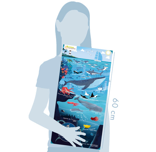 AVENUE MANDARINE Puzzle Marine World Default Title