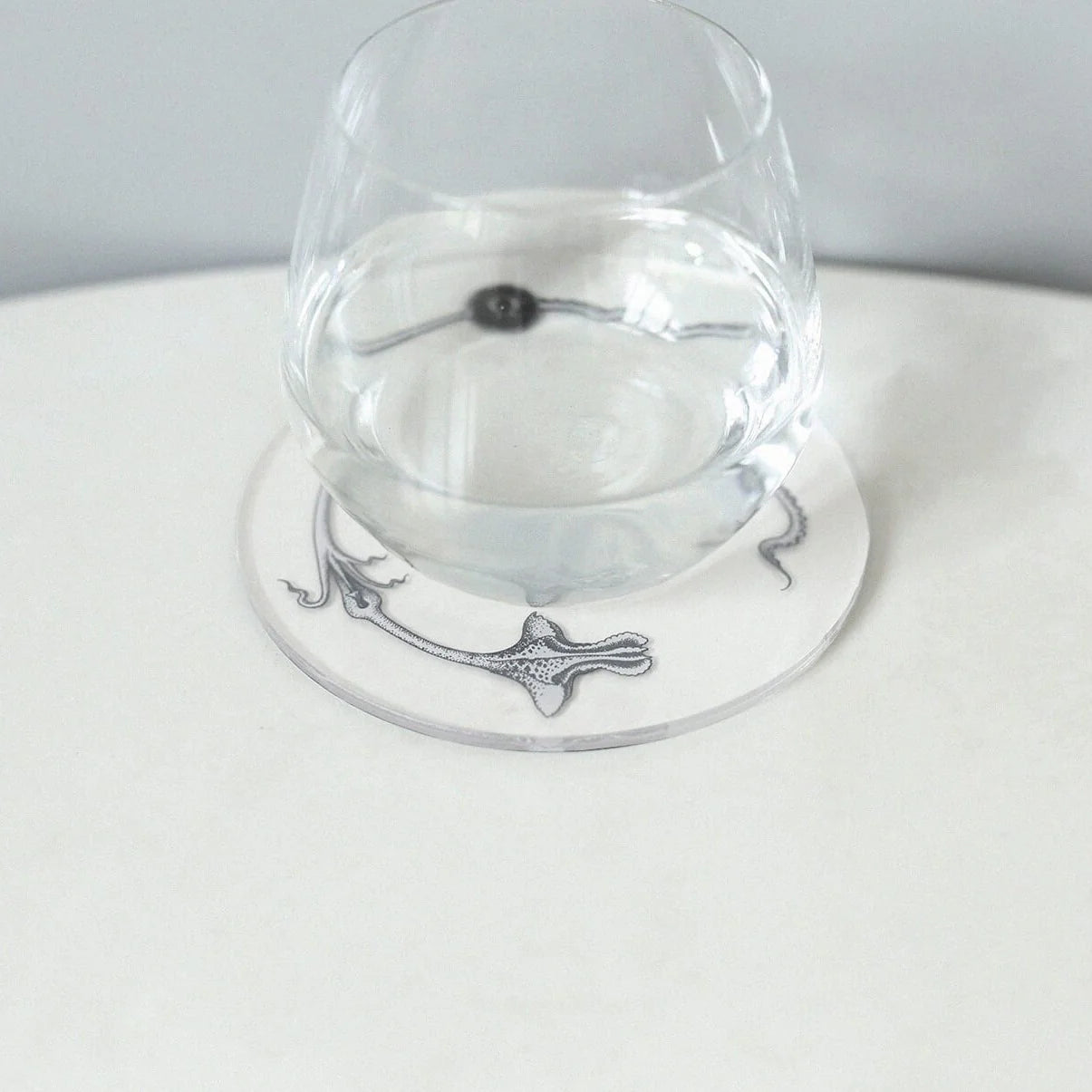 RIBBON WORKS Acrylic Coaster Plant Specimens (II)