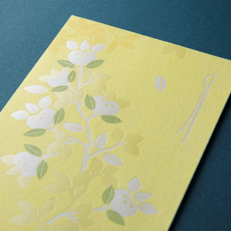 MIDORI Money Envelope 587 Citrus Tachibana