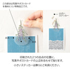 MIDORI Clip Sticker Dried Flower