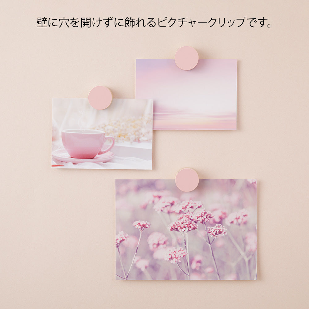 MIDORI Wooden Picture Clip Pink