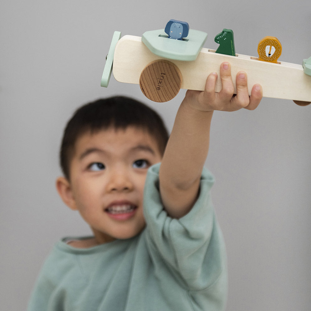 TRIXIE Wooden Animal Airplane 1234470