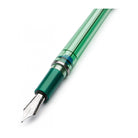 PINEIDER Avatar Twin Touch Down Forest Fountain Pen-Extra Fine