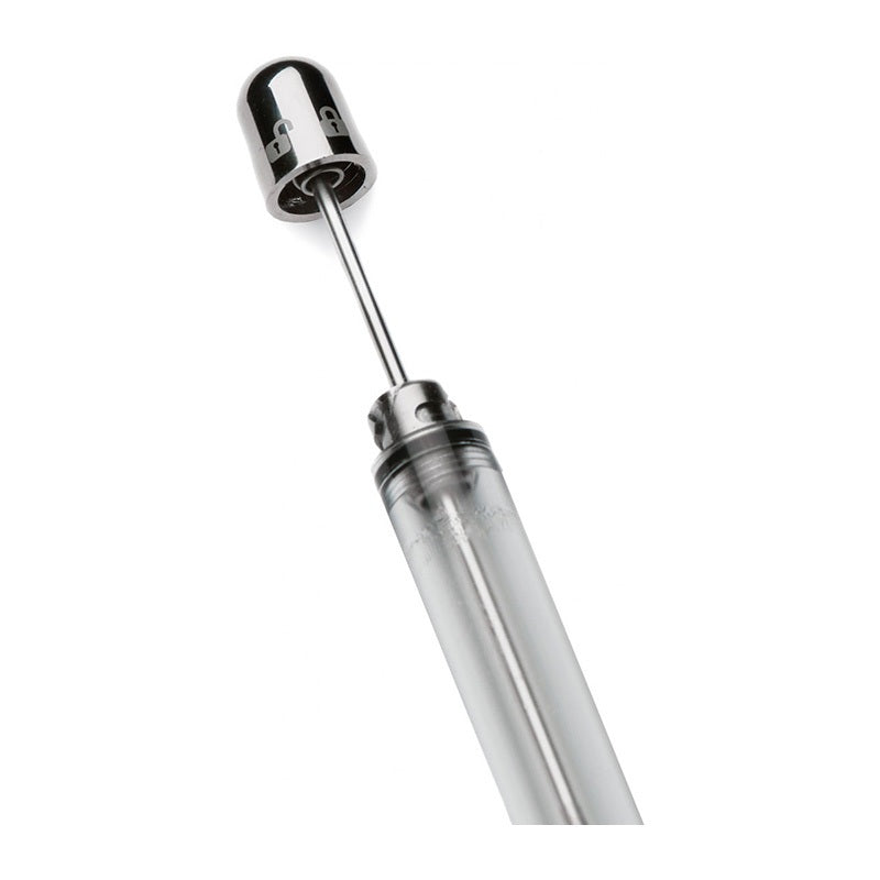 PINEIDER Avatar Twin Touch Down Clear Fountain Pen-Medium