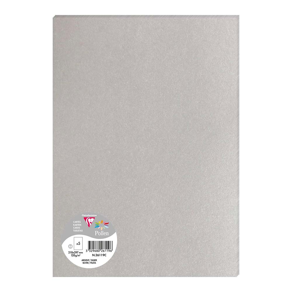POLLEN Envelopes 120g 297x210mm Silver 5s