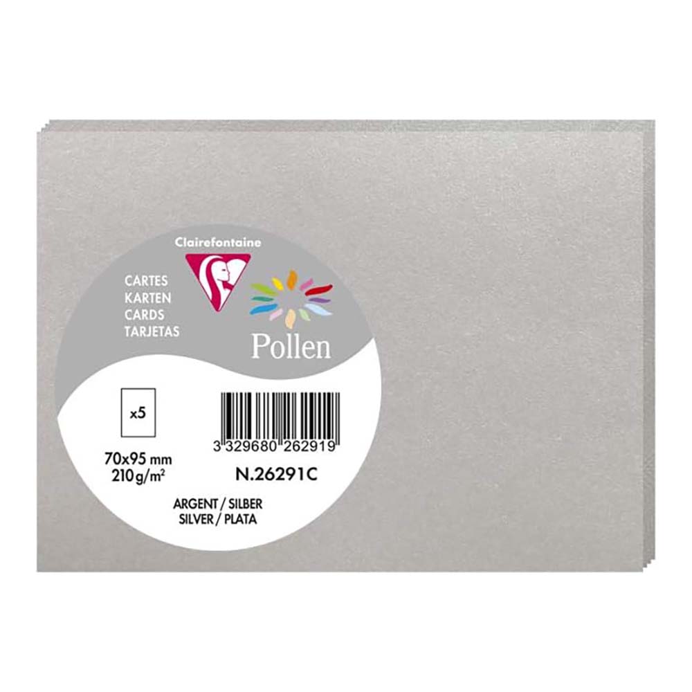 POLLEN Envelopes 120g 70x95mm Silver 5s
