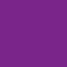 CLAIREFONTAINE Coloured Poster Paper 60x80cm 25s Purple