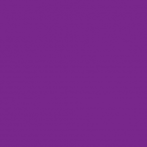 CLAIREFONTAINE Coloured Poster Paper 60x80cm 25s Purple