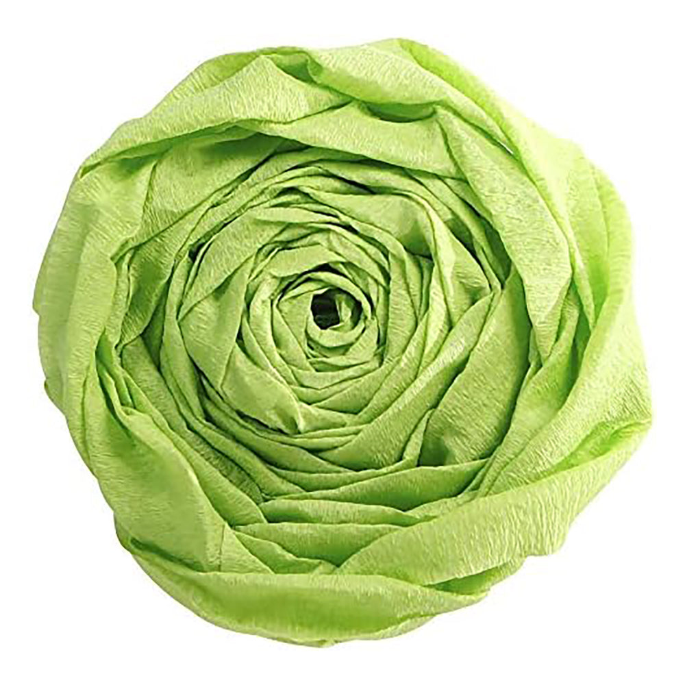 CLAIREFONTAINE Crepe Paper Roll 40% 2x0.5M 10s Apple Green