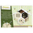 AVENUE MANDARINE Creative Box Bug House To BUild