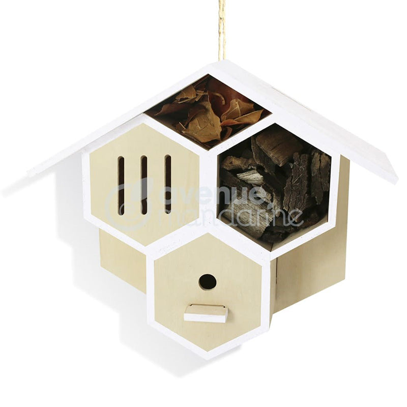 AVENUE MANDARINE Creative Box Bug House To BUild