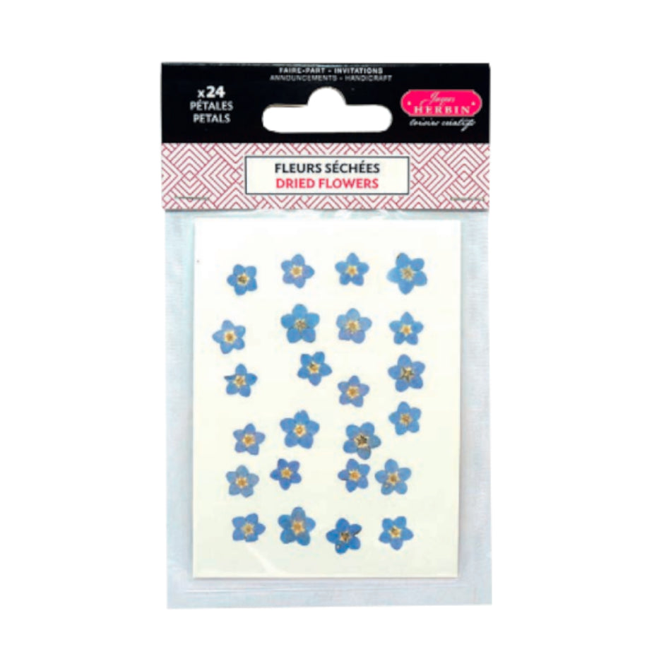 JACQUES HERBIN Wax Accessories-Dried Flowers Forget-Me-Not