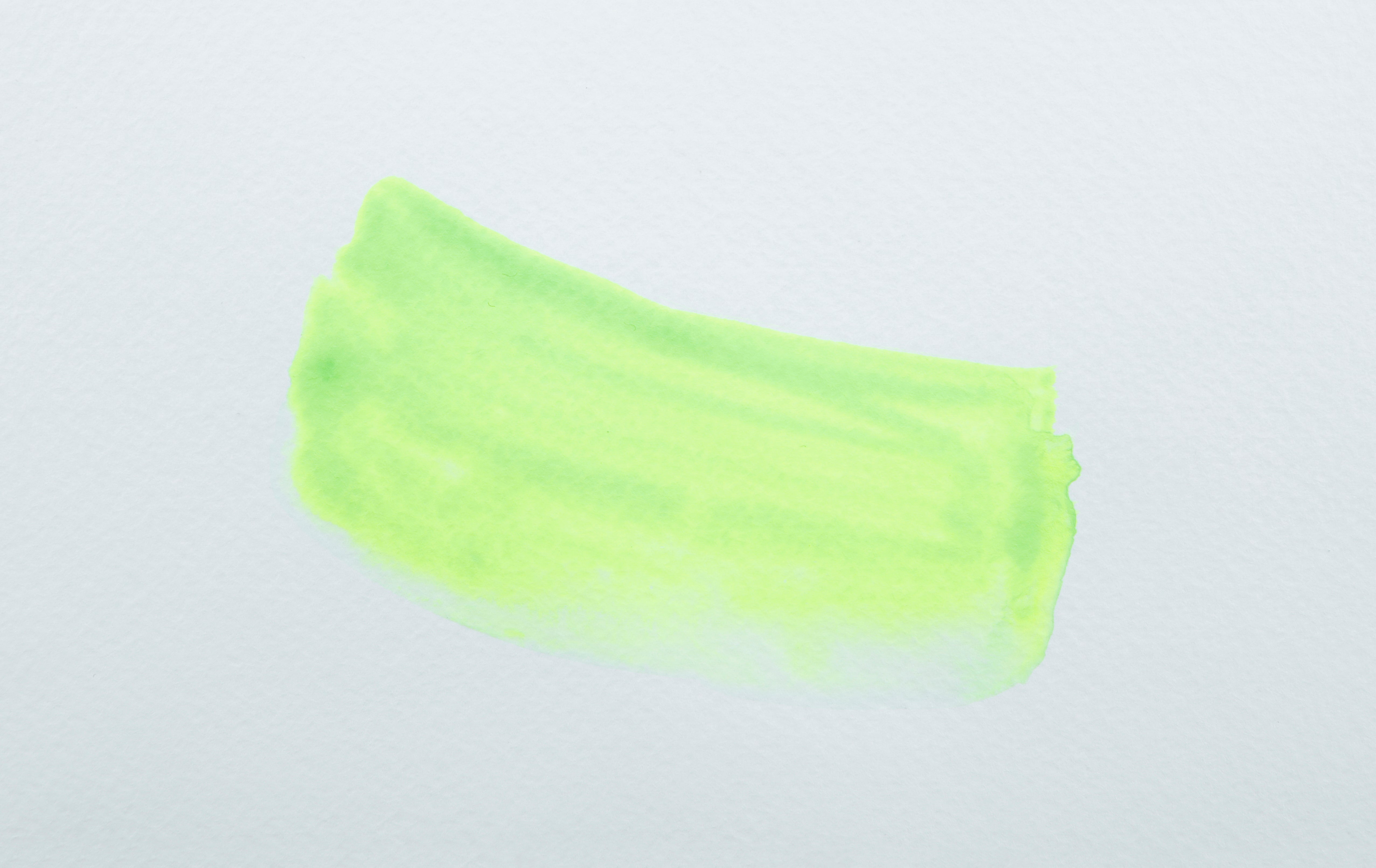 JACQUES HERBIN Eclats Pigmented Ink 50ml Fluo Green