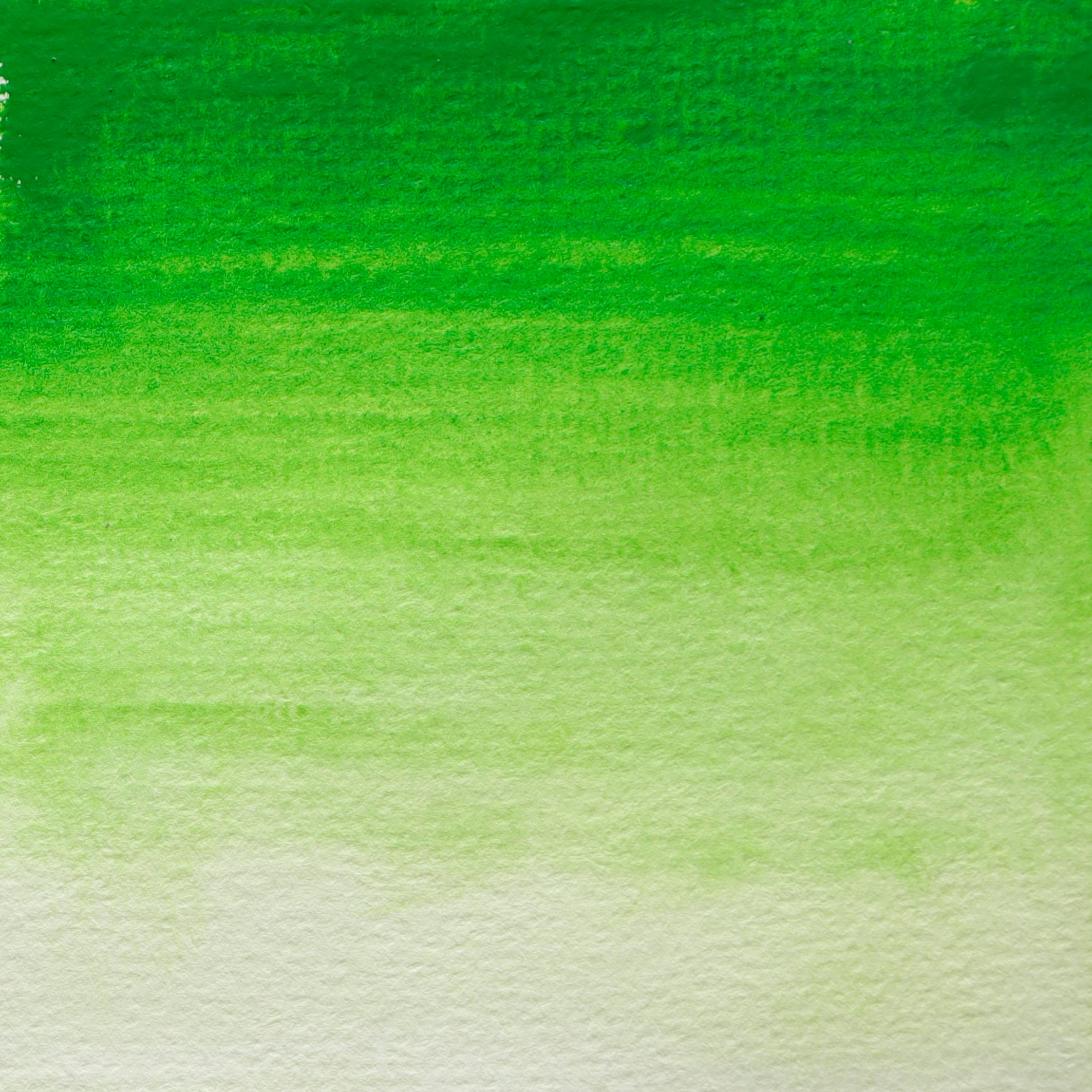 BLOCKX Artists' Watercolour Tube 15ml Sap Green