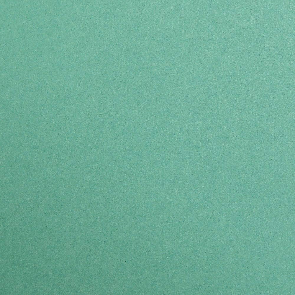 CLAIREFONTAINE Maya Coloured Paper A3 185g 25s Dark Green