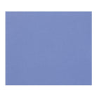 CLAIREFONTAINE Tulipe Coloured Drawing Paper A4 160g 100s Ultramarine