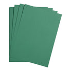 CLAIREFONTAINE Maya Coloured Paper A4 185g 25s Dark Green