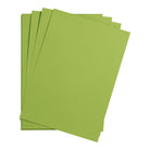 CLAIREFONTAINE Maya Coloured Paper A4 185g 25s Moss Green