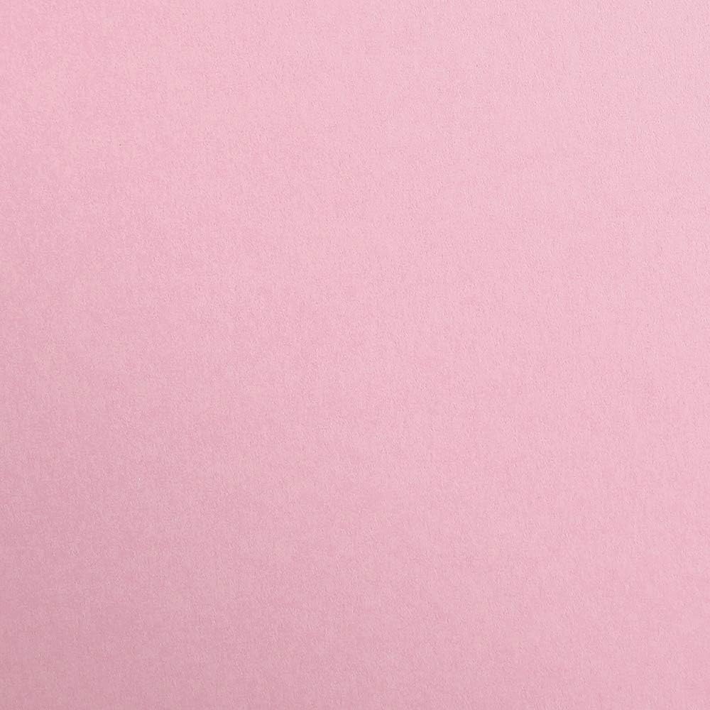 CLAIREFONTAINE Maya Coloured Paper A4 185g 25s Pale Pink