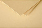 POLLEN Envelopes 120g 110x220mm Caramel 20s