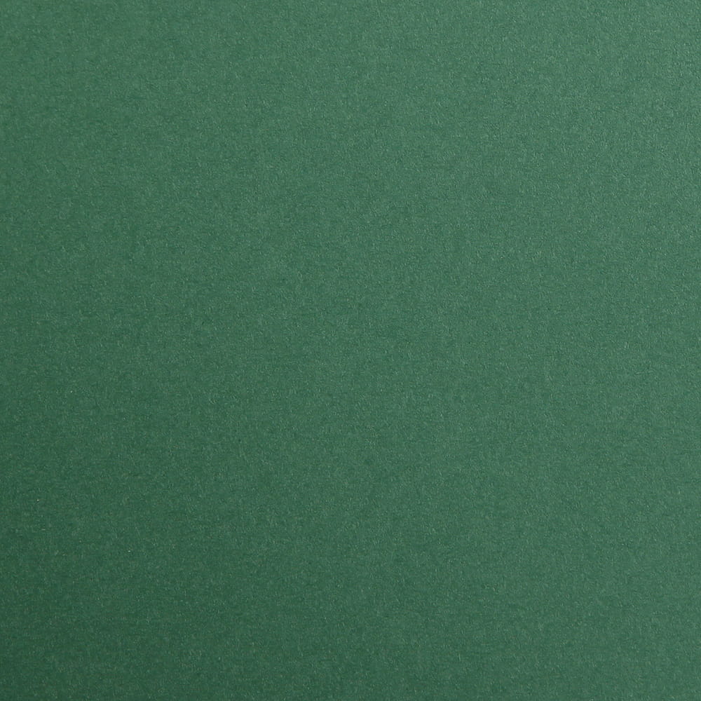 CLAIREFONTAINE Maya Coloured Paper A4 270g 25s Antique Green
