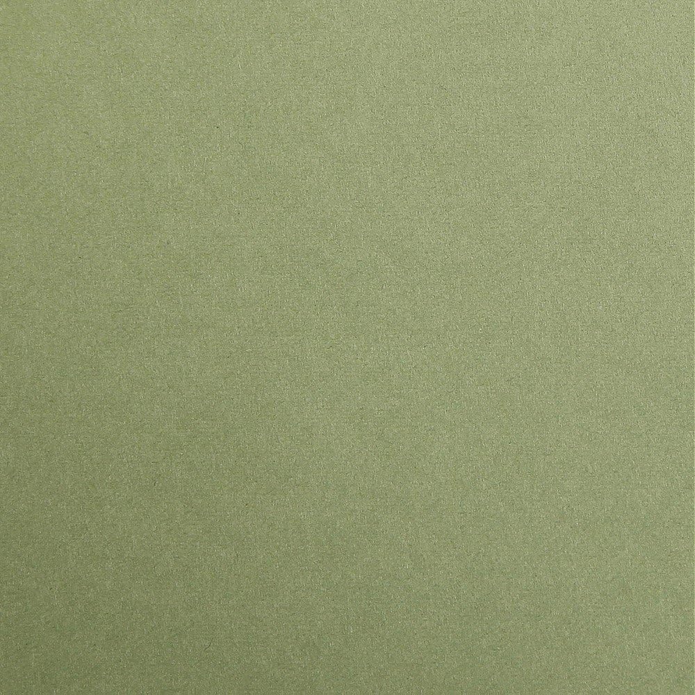 CLAIREFONTAINE Maya Coloured Paper A4 270g 25s Khaki