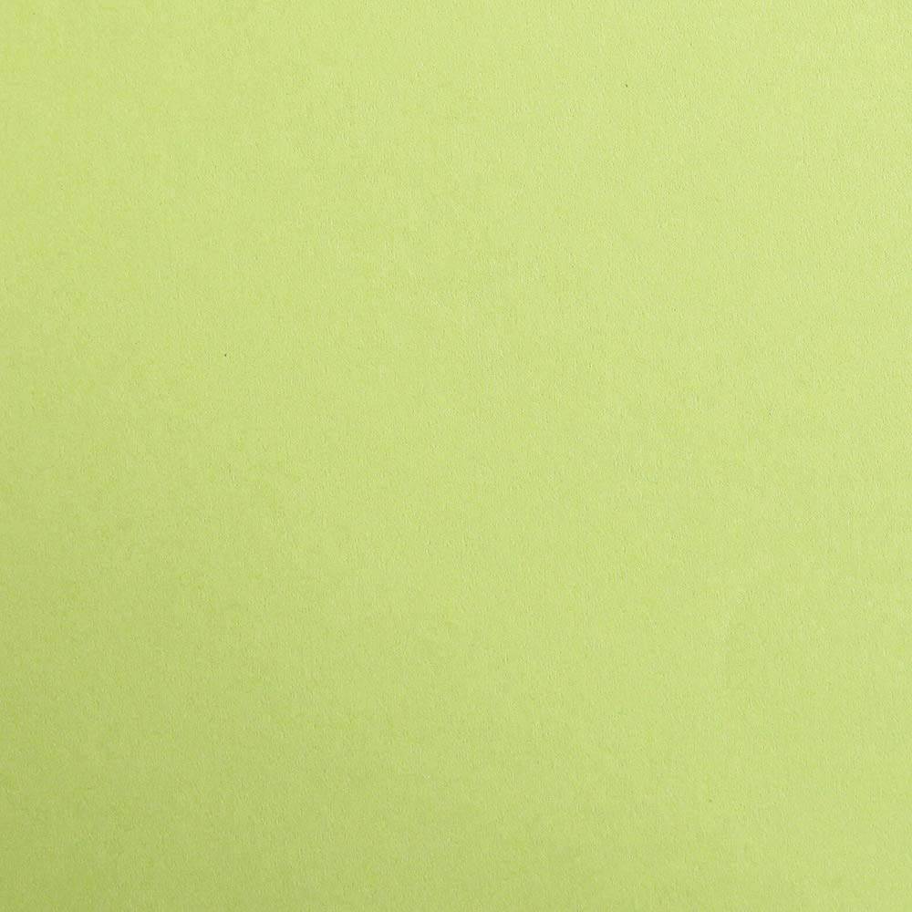 CLAIREFONTAINE Maya Coloured Paper A4 270g 25s Moss Green
