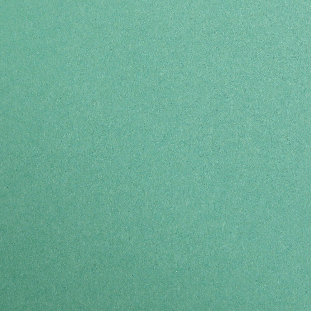 CLAIREFONTAINE Maya Coloured Paper A4 270g 25s Dark Forest Green