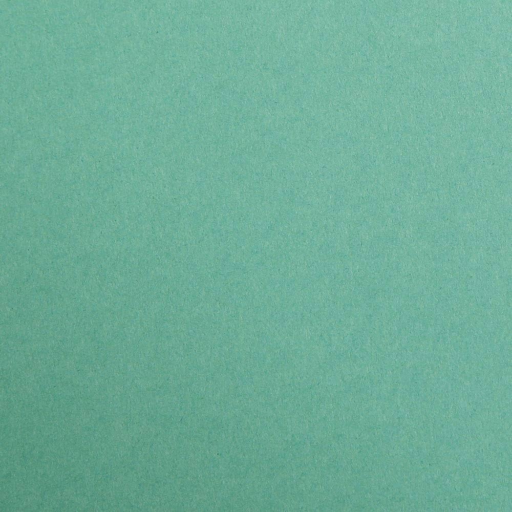 CLAIREFONTAINE Maya Coloured Paper 50x70cm 270g 25s Dark Green