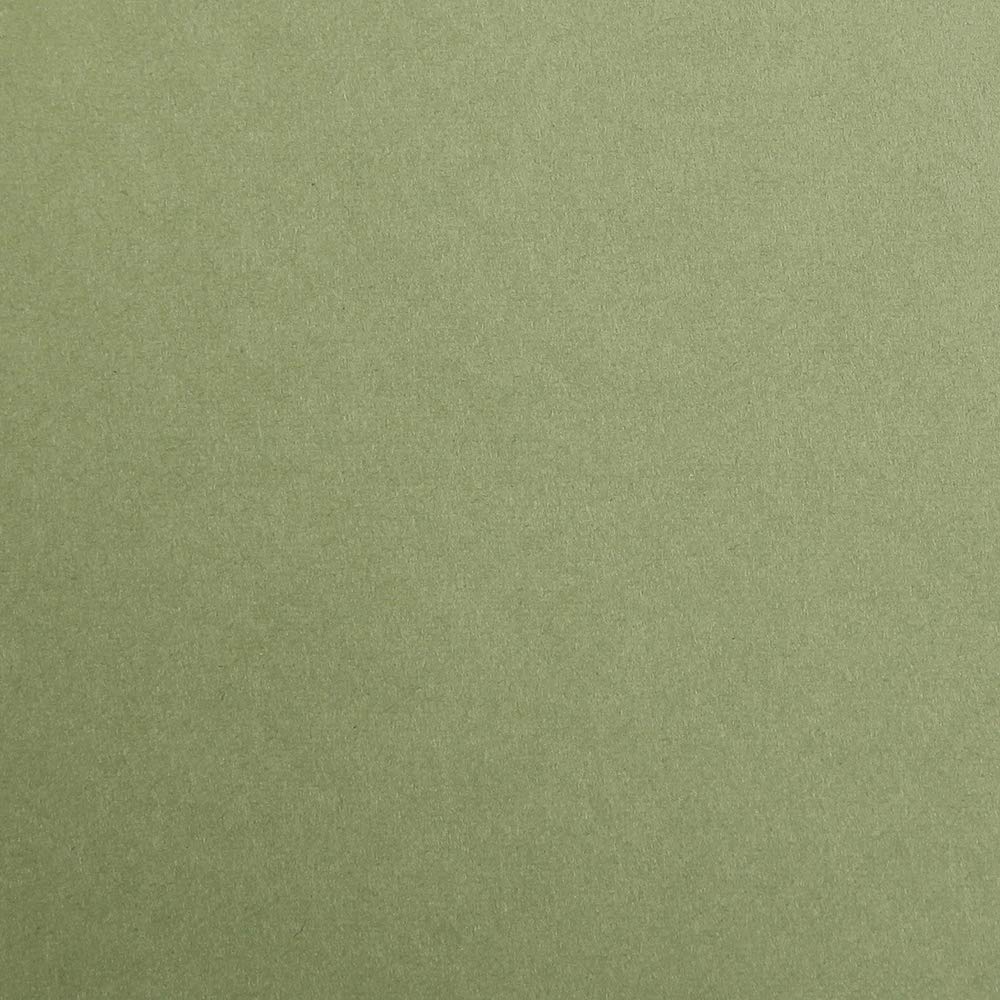 CLAIREFONTAINE Maya Coloured Paper A3 270g 25s Khaki