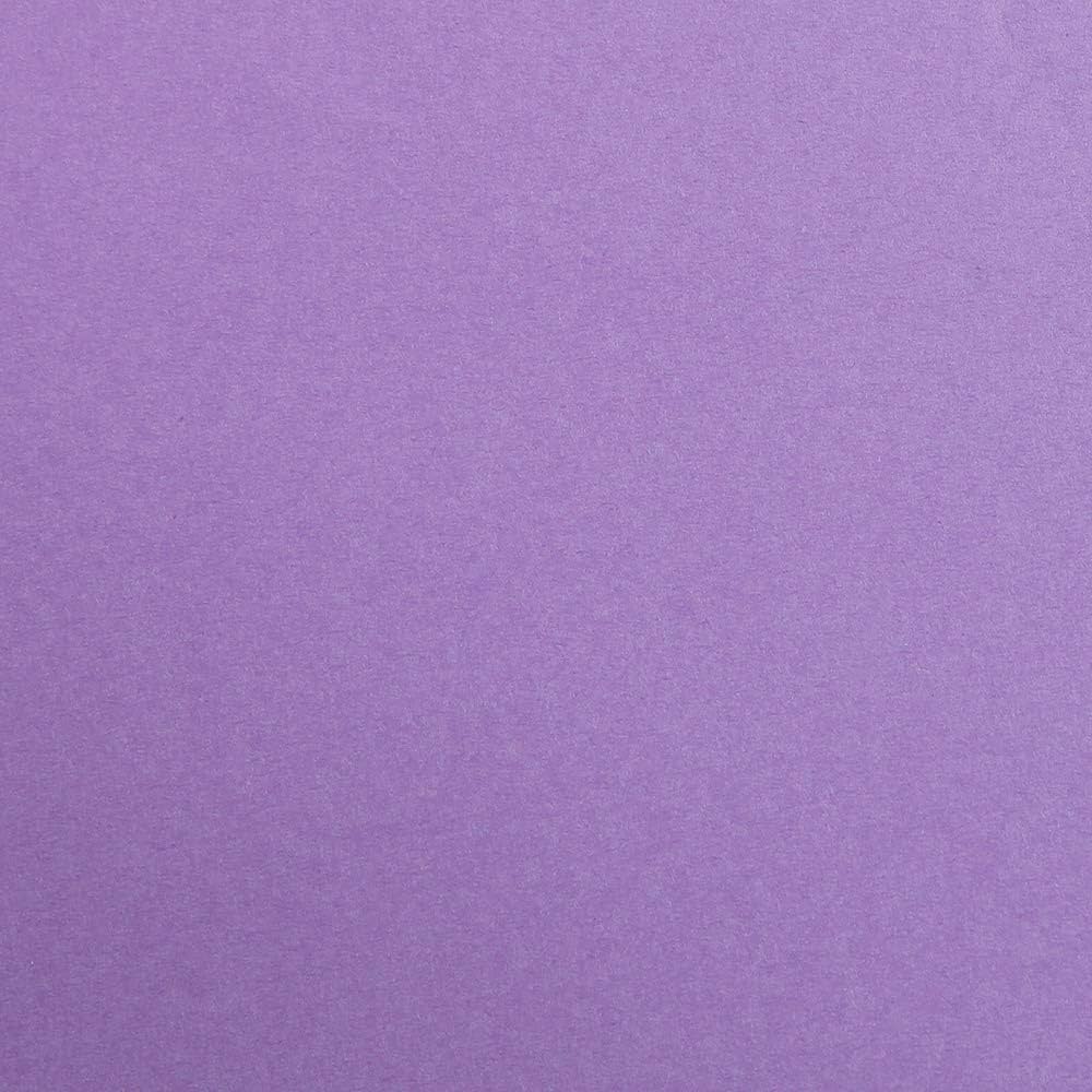 CLAIREFONTAINE Maya Coloured Paper A3 270g 25s Purple