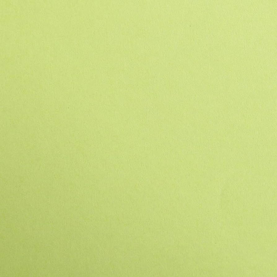 CLAIREFONTAINE Maya Coloured Paper A3 270g 25s Moss Green