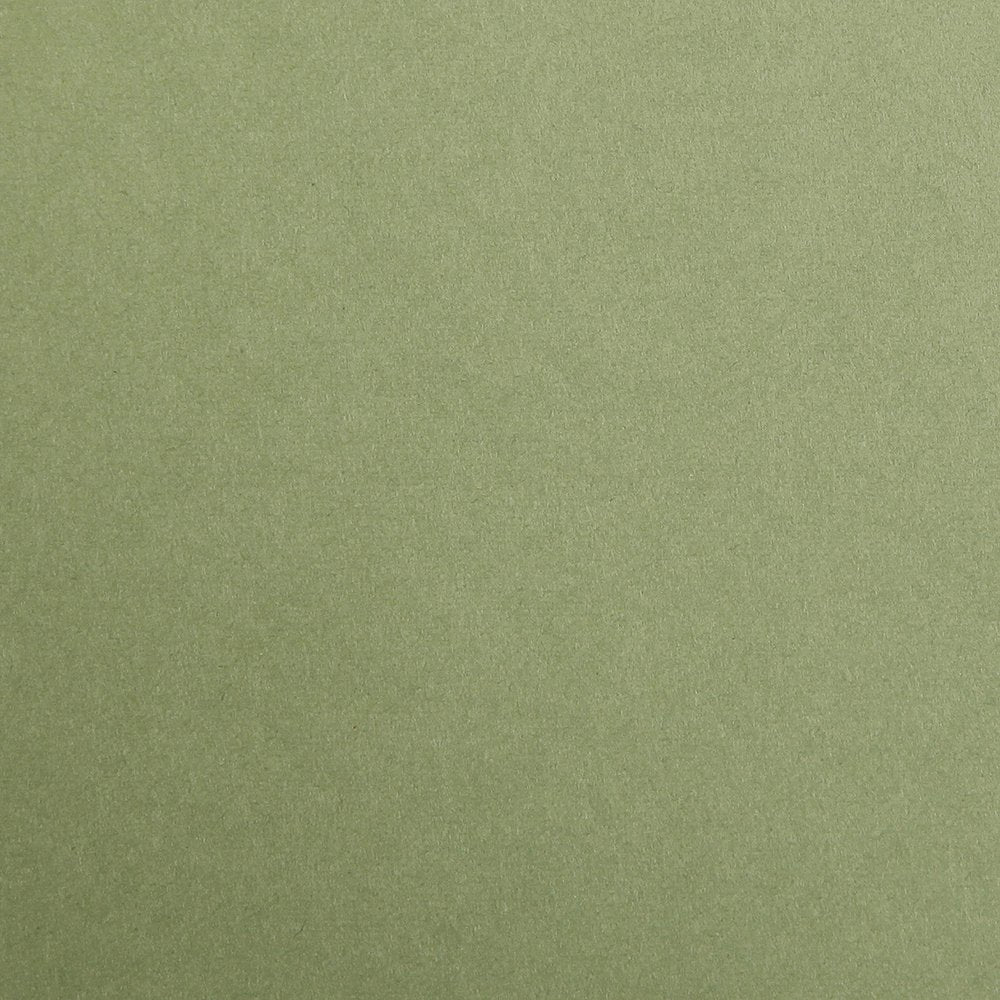 CLAIREFONTAINE Maya Coloured Paper A4 120g 25s Khaki