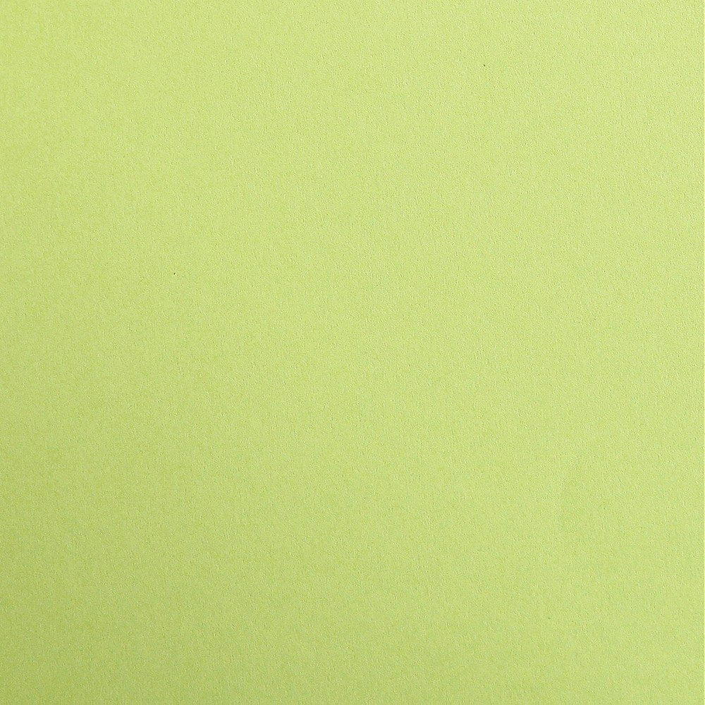 CLAIREFONTAINE Maya Coloured Paper A4 120g 25s Moss Green