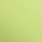 CLAIREFONTAINE Maya Coloured Paper A4 120g 25s Moss Green