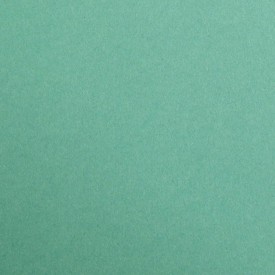 CLAIREFONTAINE Maya Coloured Paper A4 120g 25s Dark Green