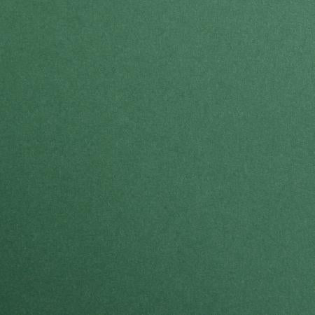CLAIREFONTAINE Maya Coloured Paper 50x70cm 120g 25s Antique Green