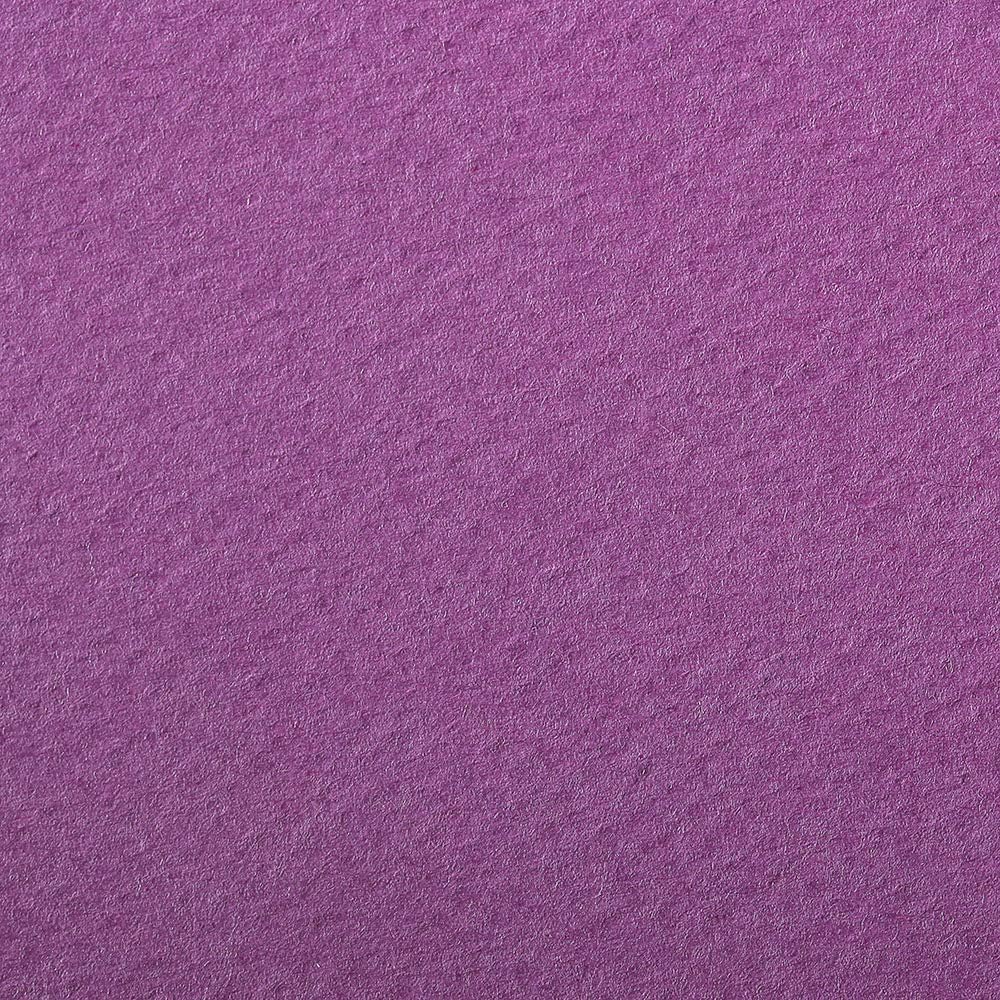 CLAIREFONTAINE Etival Coloured Paper A4 160g 25s Purple