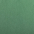 CLAIREFONTAINE Etival Coloured Paper 50x65cm 160g 24s Deep Green