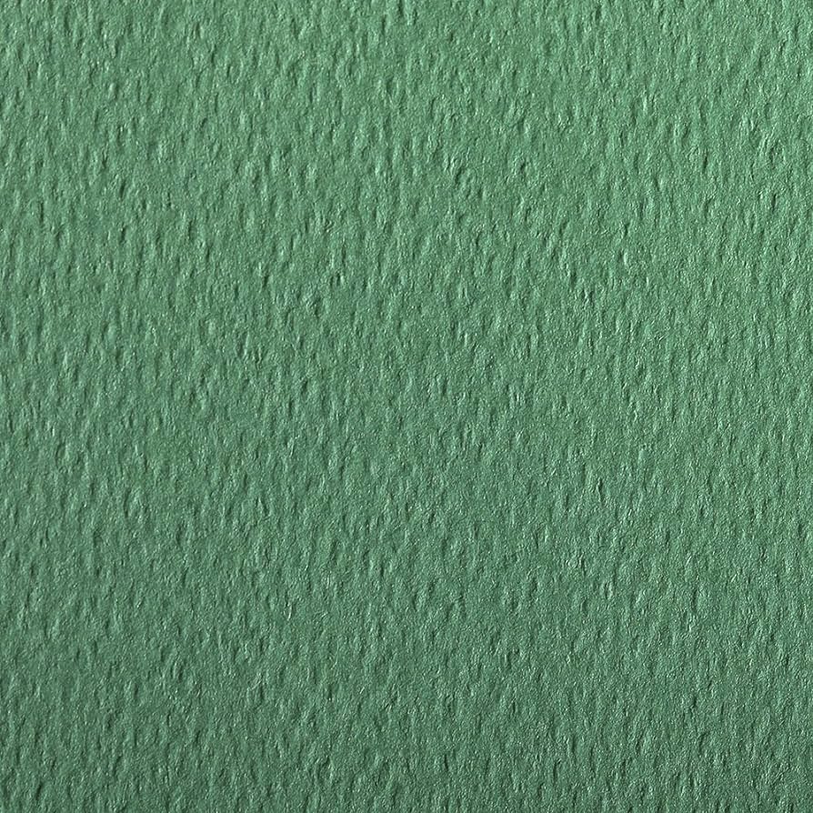 CLAIREFONTAINE Etival Coloured Paper A3 160g 25s Deep Green