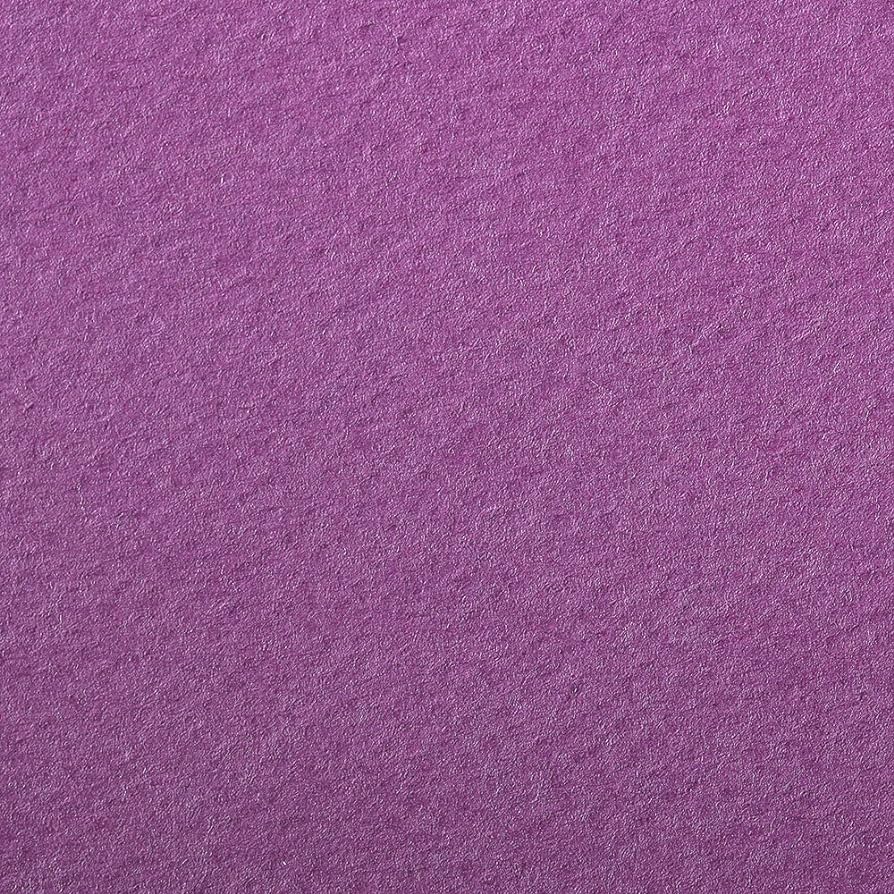 CLAIREFONTAINE Etival Coloured Paper A3 160g 25s Purple