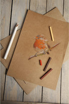 CLAIREFONTAINE Plain Brown Kraft 50x70cm 400g 10s