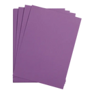 CLAIREFONTAINE Maya Coloured Paper 50x70cm 185g 25s Purple