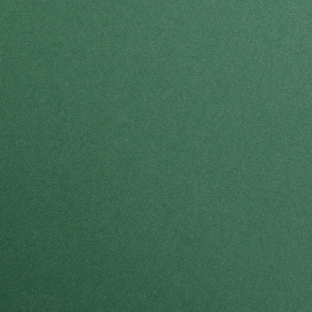 CLAIREFONTAINE Maya Coloured Paper A4 270g 1s Antique Green